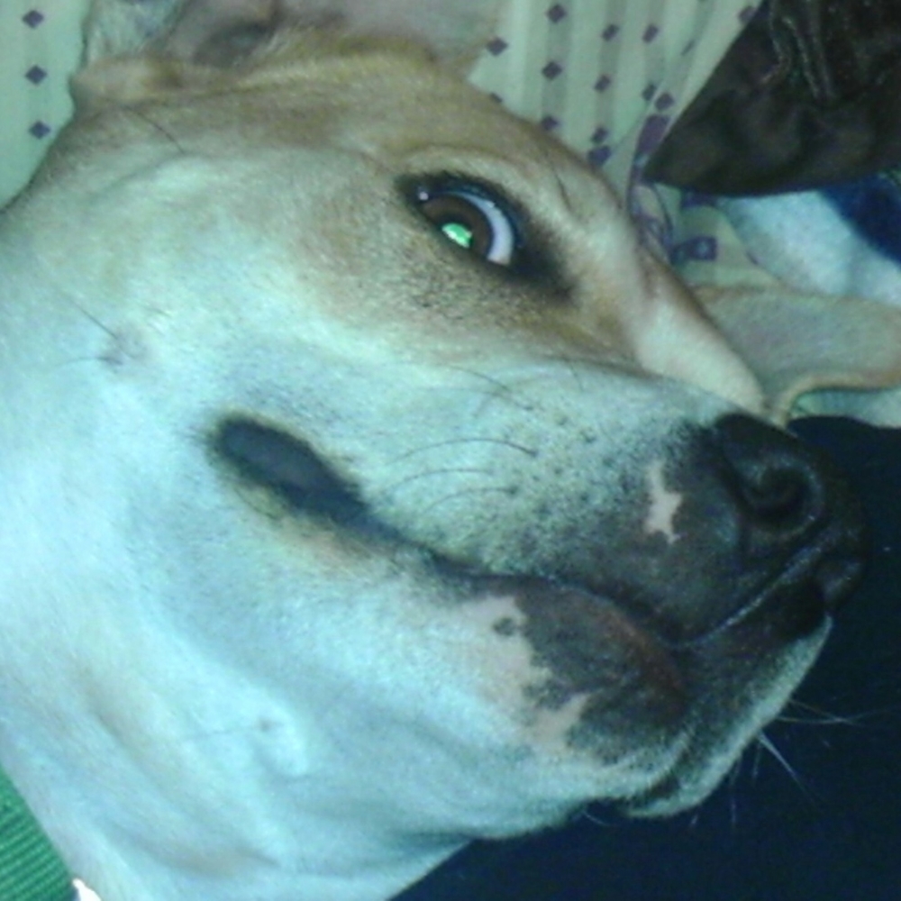 Meet your Posher, Kairi